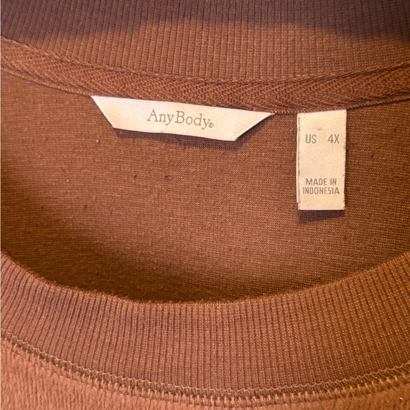 AnyBody Fleece Sweatshirt 4X Mauve Dusty Rose Cozy Pullover Soft Lounge Top - Picture 2 of 7